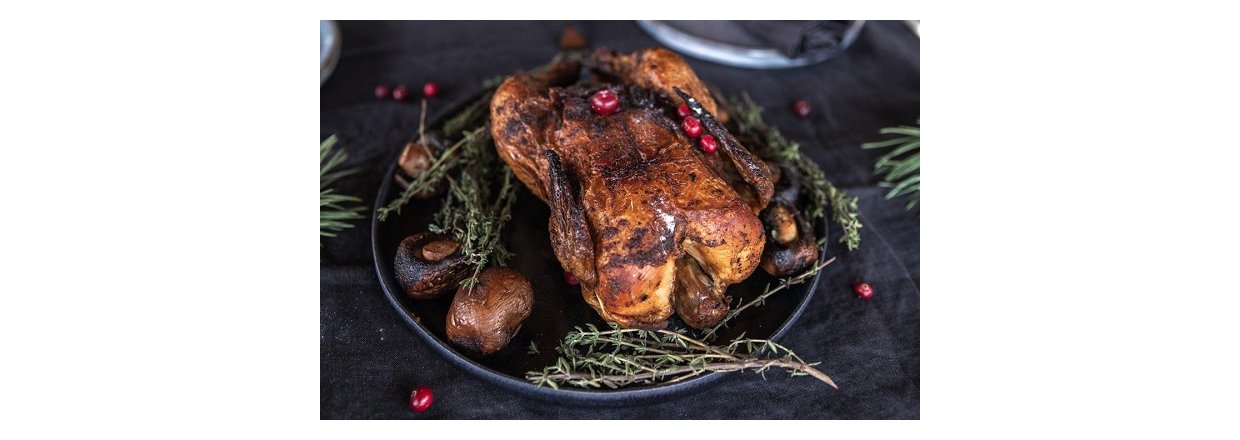 Ingen julemad til hunden