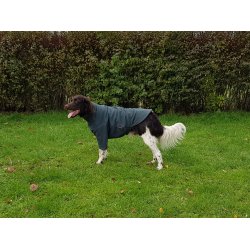 Dog Jumper HotterDog