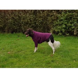 Dog Jumper HotterDog