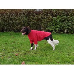 Dog Jumper HotterDog