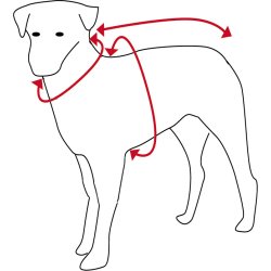 Dog Jumper HotterDog