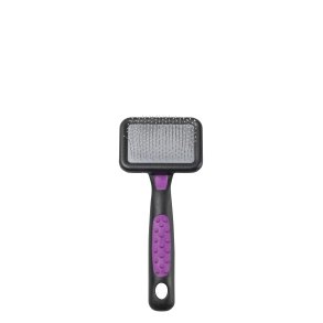 Smart mini bl�d carde m/dupper