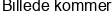 Katte